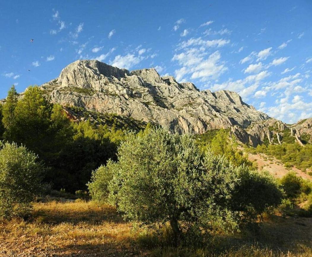 Chambre D'Hotes Le Secadou La Ciotat Luaran gambar
